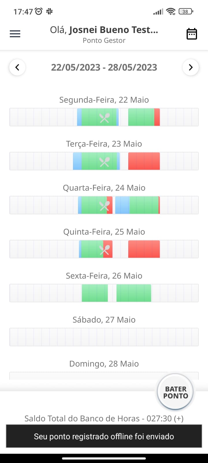 Pagina_inicial_-_Sincronizado_Offline.jpeg