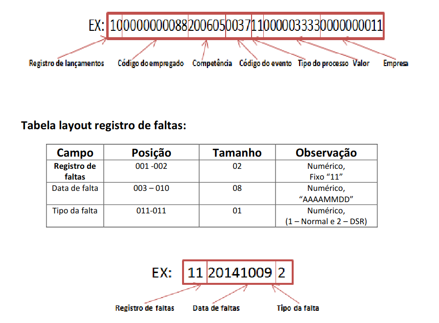 layout_dominio.png